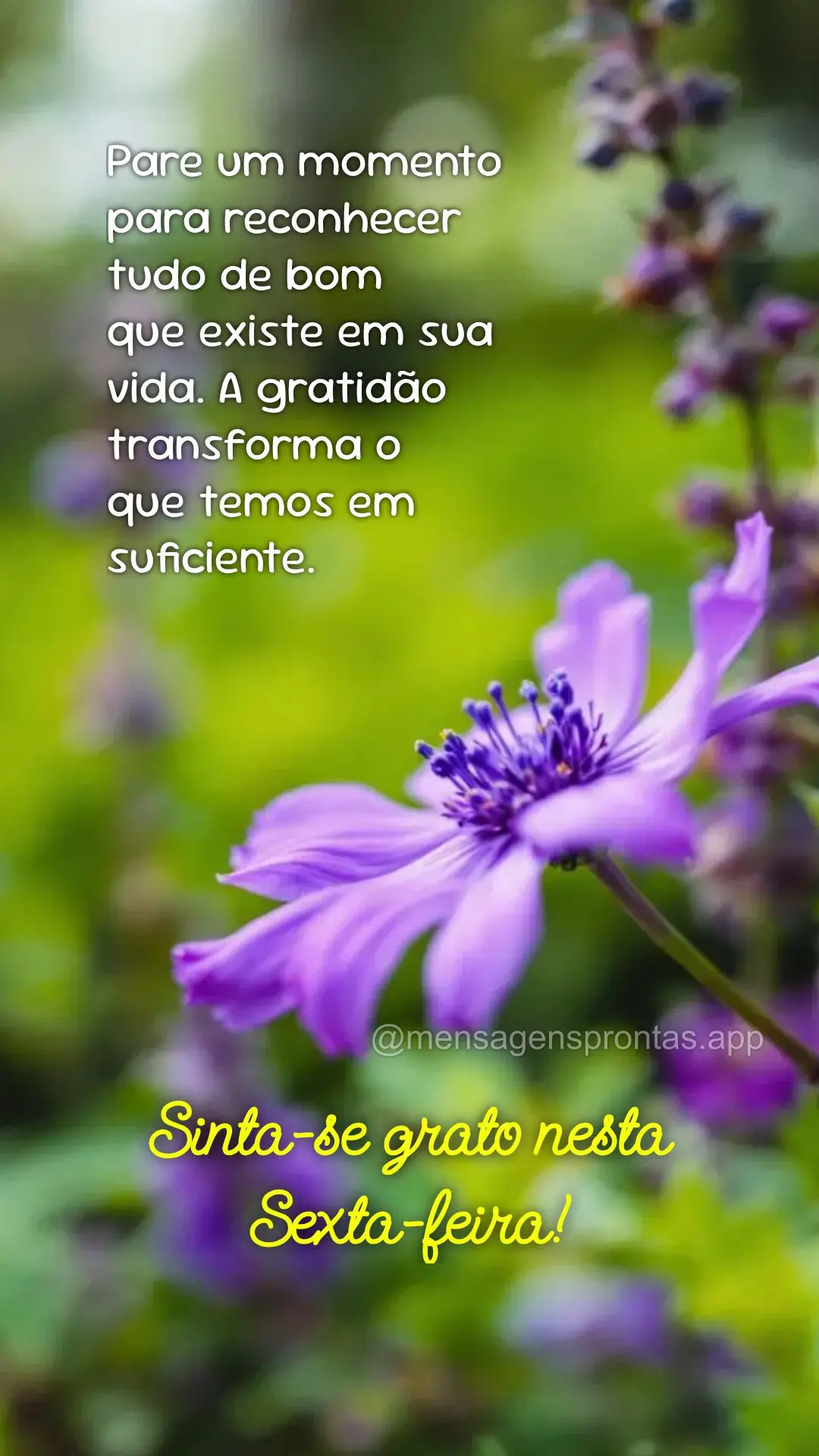 Pare um momento para reconhecer tudo de bom 
que existe em sua 
vida. A gratidão transforma o 
que temos em suficiente. Sinta-se grato nesta Sexta-fe...