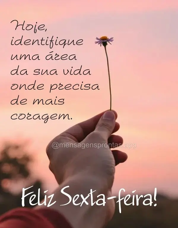 Hoje, identifique uma área da sua vida onde precisa de mais coragem. Feliz Sexta-feira!