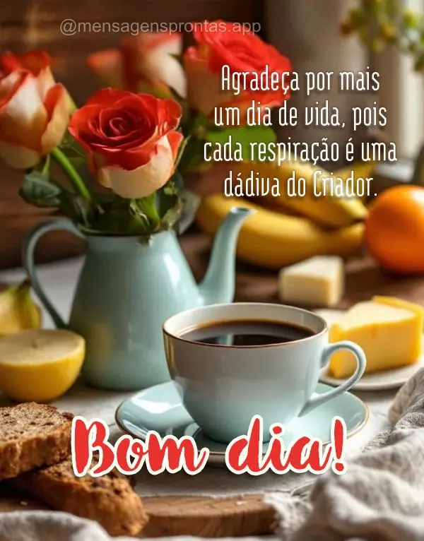 Agradeça por mais um dia de vida, pois cada respiração é uma dádiva do Criador. Bom dia!