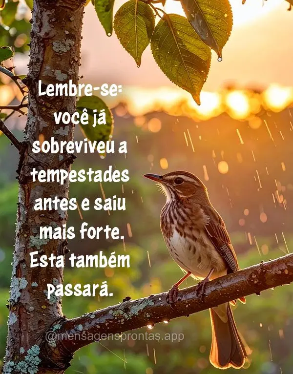 Lembre-se: você já sobreviveu a tempestades antes e saiu mais forte. Esta também passará.