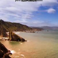 Quarta-feira iluminada
para brilhar sua semana!