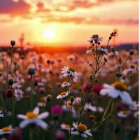 Quarta de luz
paz e muitos motivos pra agradecer!