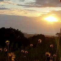 Boa tarde!
Que sua tarde seja leve, produtiva e cheia 
de boas notícias!