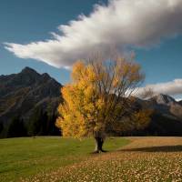 Sexta-feira!
é sinônimo de alegria
