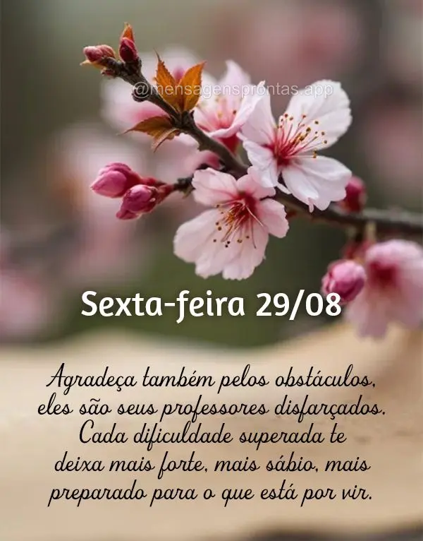 Agradeça também pelos obstáculos - eles são seus professores disfarçados. Cada dificuldade superada te deixa mais forte, mais sábio, mais preparado...