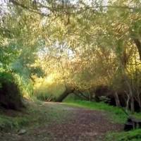 Terça:
espalhe boas vibrações hoje!