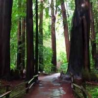 Terça:
persista, a recompensa virá