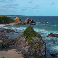 Quinta-feira
com sorriso no rosto!