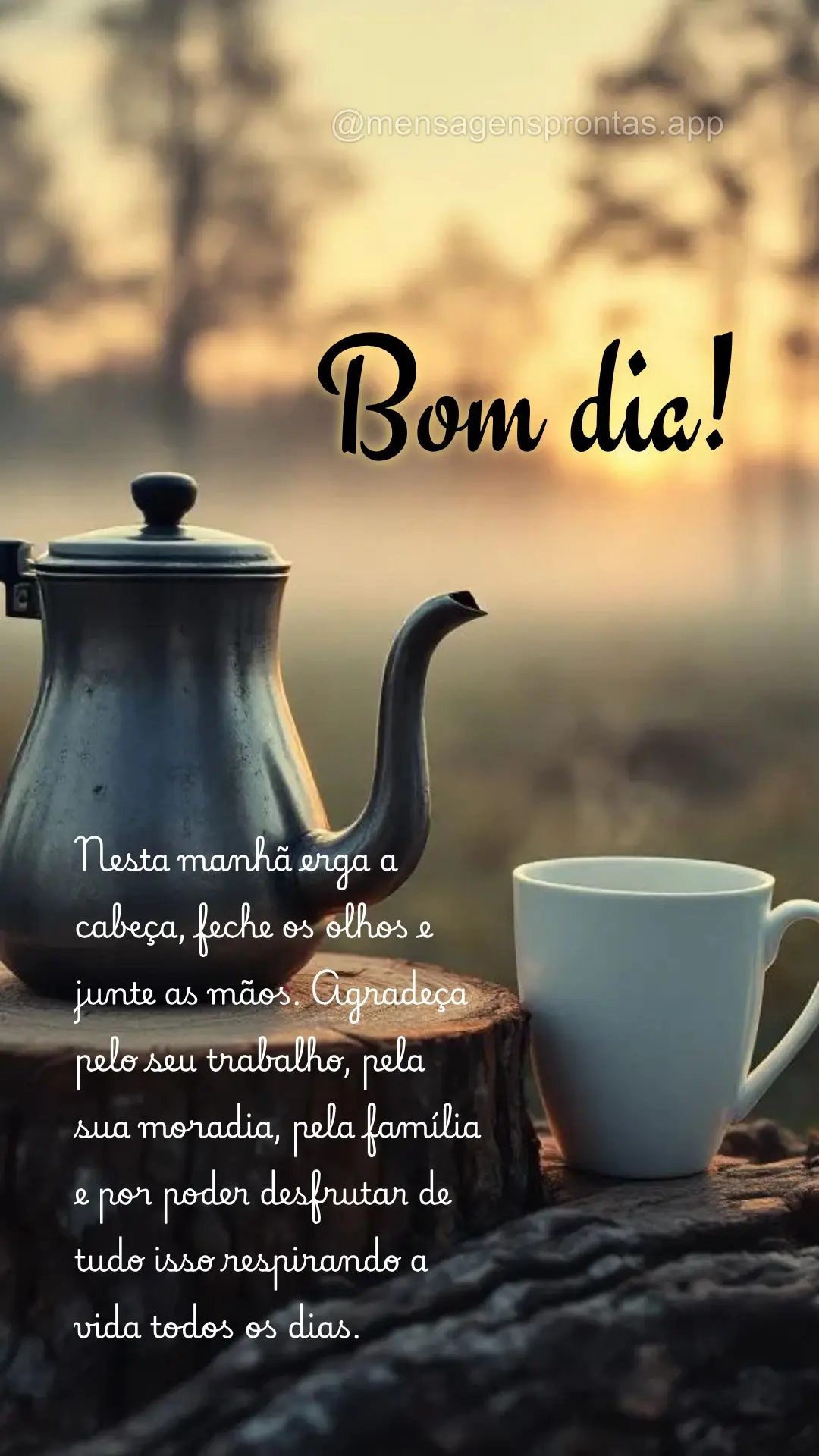Nesta manhã erga a cabeça, feche os olhos e junte as mãos. Agradeça pelo seu trabalho, pela sua moradia, pela família e por poder desfrutar de tudo ...