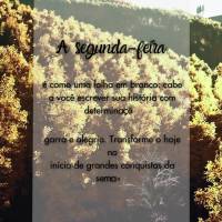 A segunda-feira
é como uma folha em branco: cabe a você escrever sua história com determinação,
garra e alegria. Transforme o hoje no início de g...