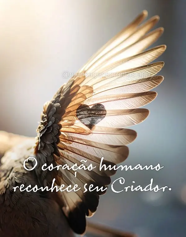 O coração humano reconhece seu Criador.