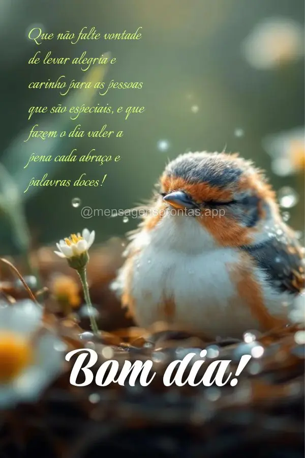 Que não falte vontade de levar alegria e carinho para as pessoas que são especiais, e que fazem o dia valer a pena cada abraço e palavras doces! Bom d...