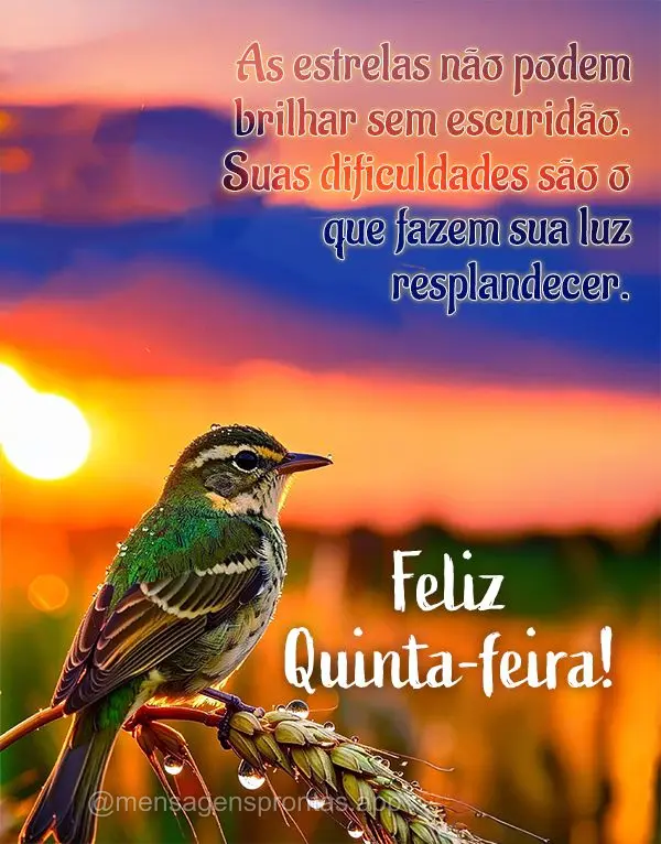 As estrelas não podem brilhar sem escuridão. Suas dificuldades são o que fazem sua luz resplandecer. Feliz Quinta-feira!