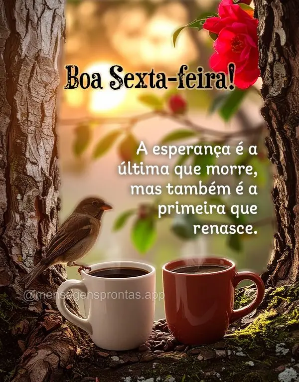 Seja grato pelo que tem enquanto trabalha pelo que deseja. Boa Sexta-feira!