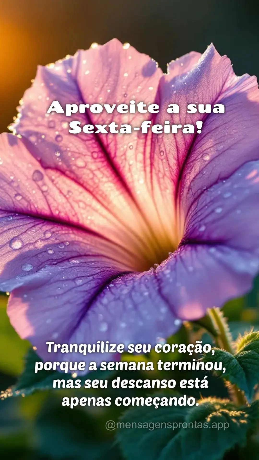 Tranquilize seu coração, porque a semana terminou, mas seu descanso está apenas começando. Aproveite a sua Sexta-feira!