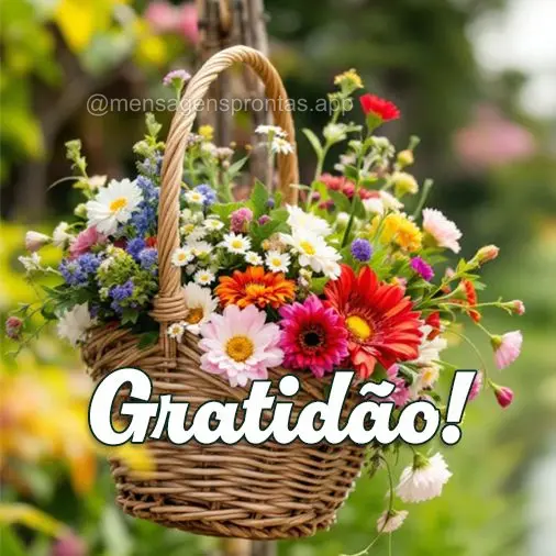 Gratidão!