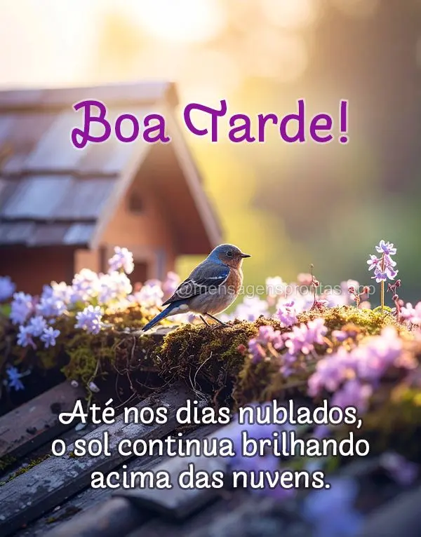 Até nos dias nublados, o sol continua brilhando acima das nuvens. Boa tarde!