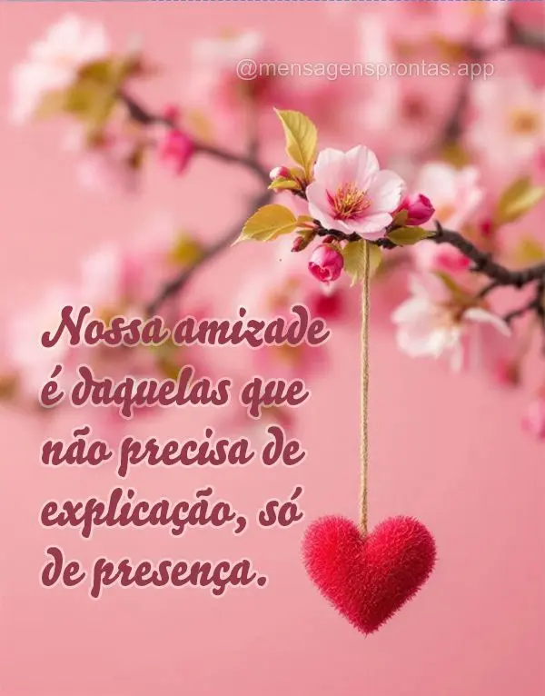 Nossa amizade é daquelas que não precisa de explicação, só de presença.