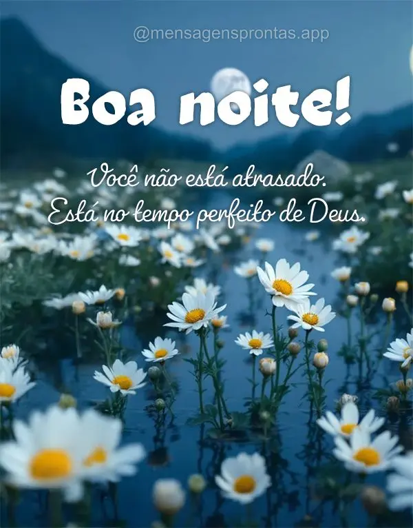 Você não está atrasado. Está no tempo perfeito de Deus. Boa noite!