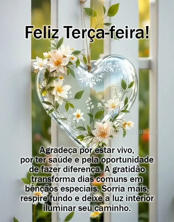 Agradeça por estar vivo, por ter saúde e pela oportunidade de fazer diferença. A gratidão transforma dias comuns em bênçãos especiais. Sorria mais...