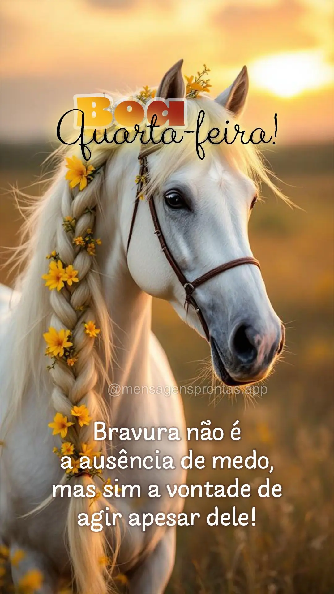 Bravura não é a ausência de medo, mas sim a vontade de agir apesar dele! Boa Quarta-feira!
