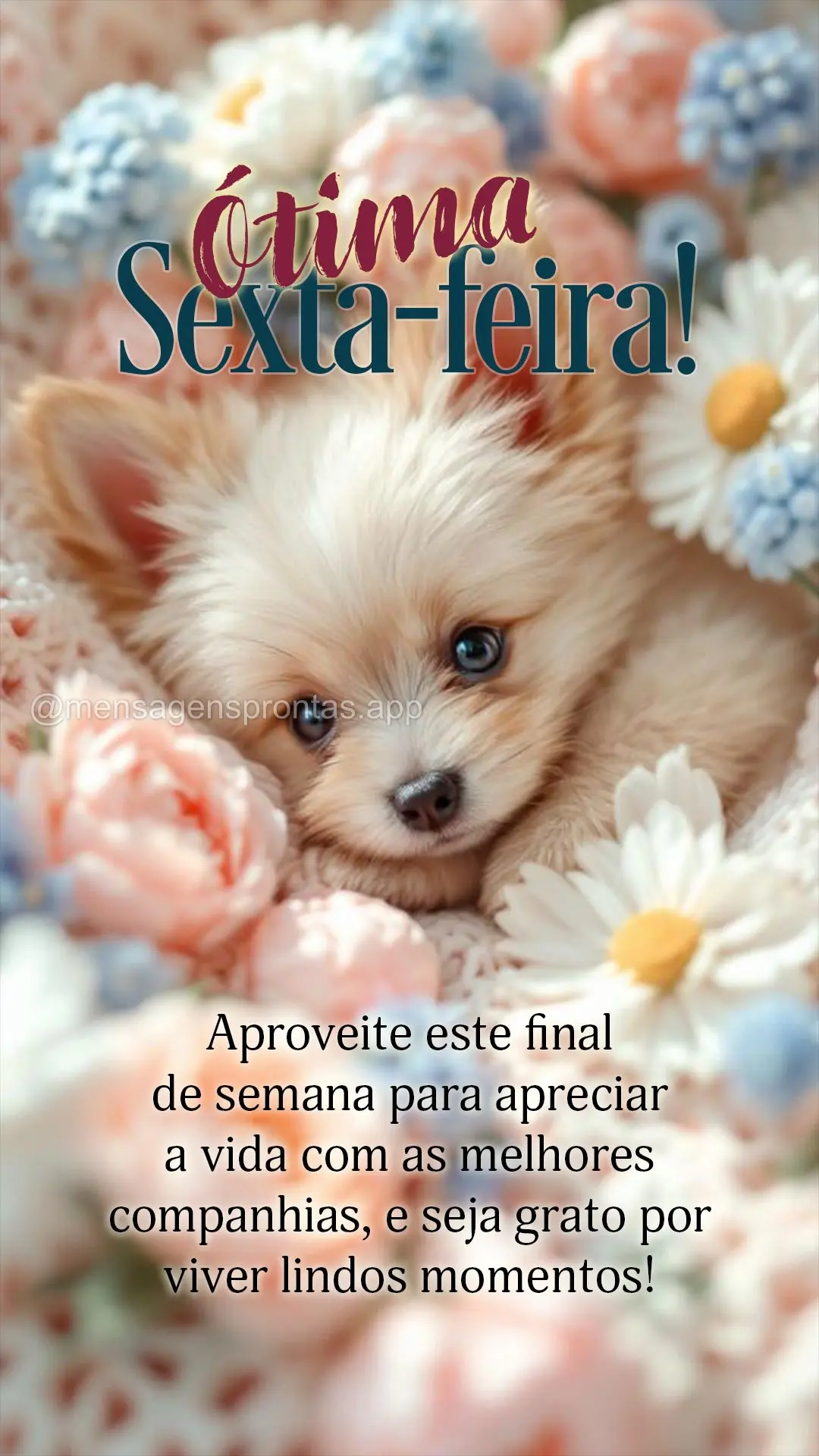 Aproveite este final de semana para apreciar a vida com as melhores companhias, e seja grato por viver lindos momentos! Ótima Sexta-feira!