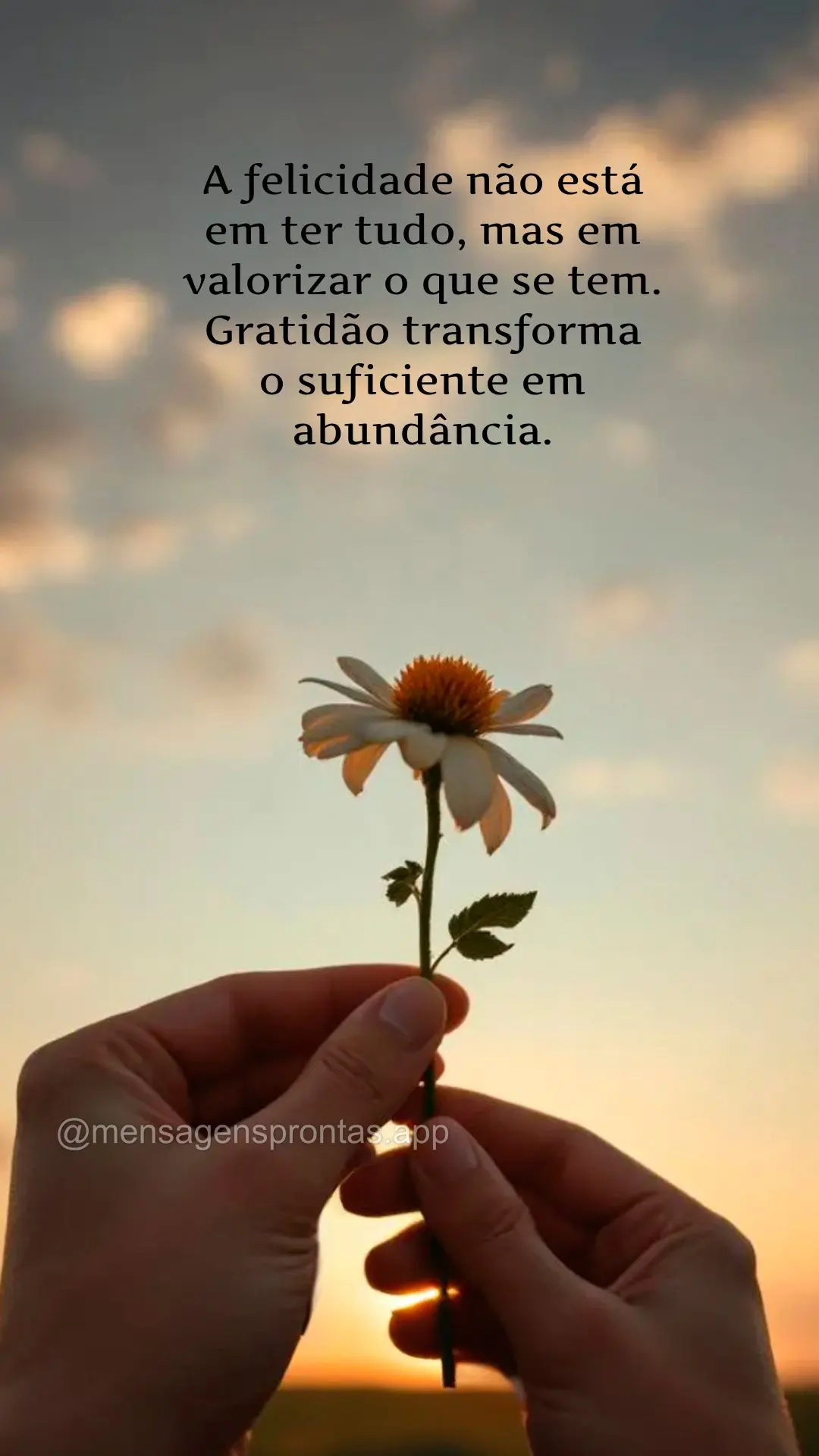 A felicidade não está 
em ter tudo, mas em 
valorizar o que se tem. 
Gratidão transforma 
o suficiente em abundância.