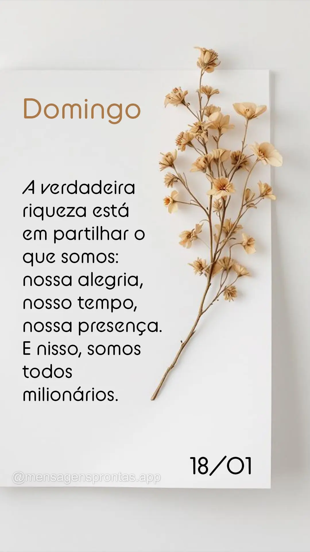 A verdadeira riqueza está em partilhar o que somos: nossa alegria, nosso tempo, nossa presença. E nisso, somos todos milionários. 18/01 Domingo