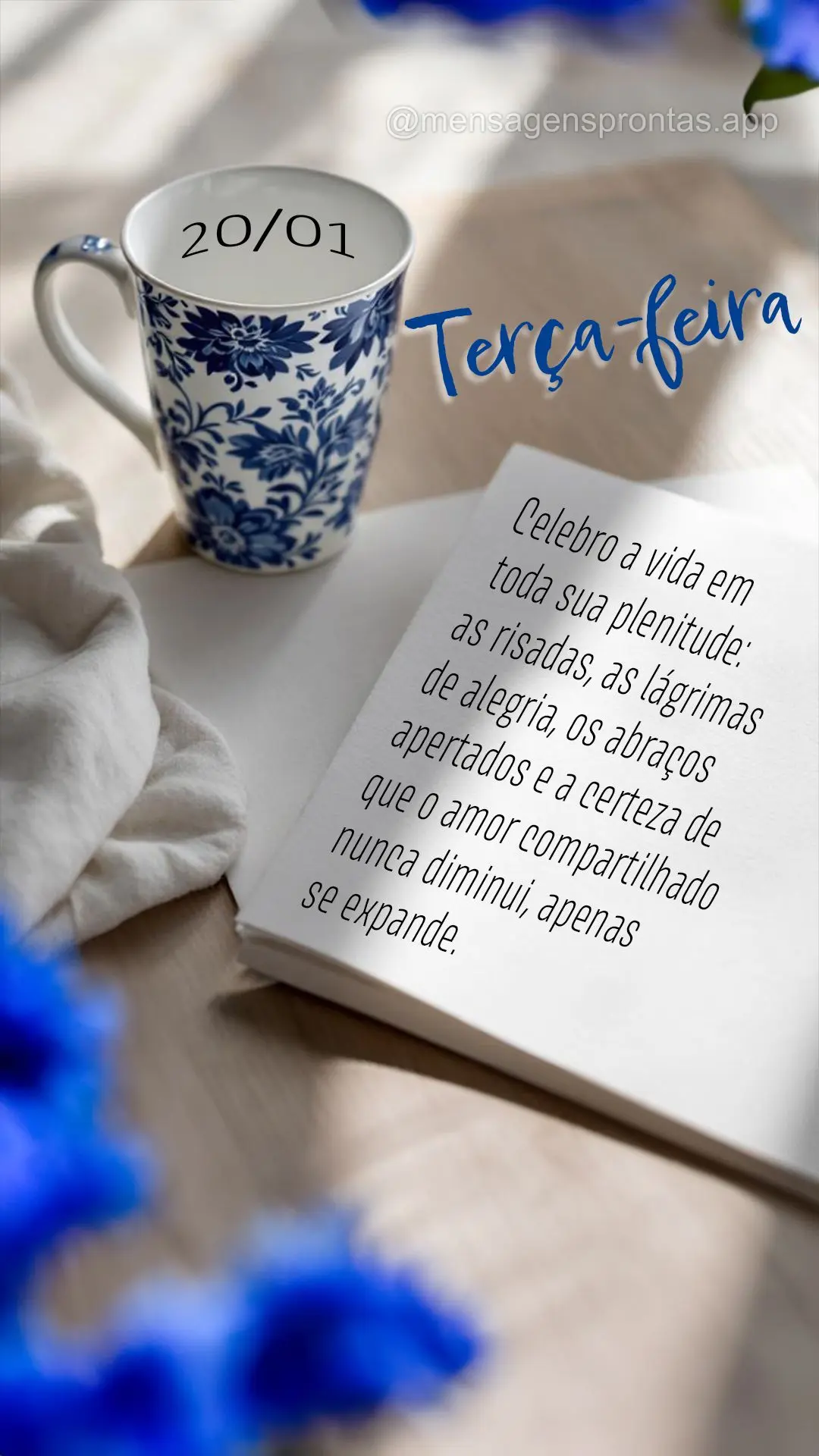 Celebração da vida: "Celebro a vida em toda sua plenitude: as risadas, as lágrimas de alegria, os abraços apertados e a certeza de que o amor compart...