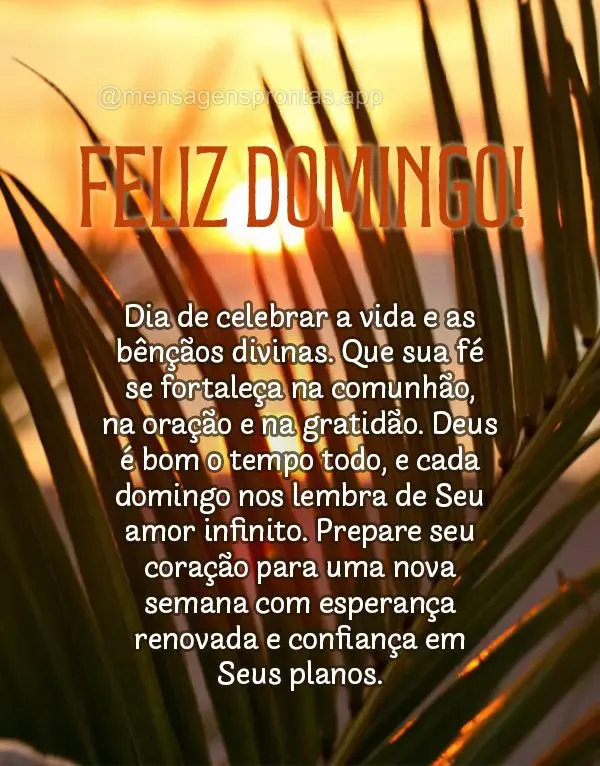 Dia de celebrar a vida e as bênçãos divinas. Que sua fé se fortaleça na comunhão, na oração e na gratidão. Deus é bom o tempo todo, e cada domi...