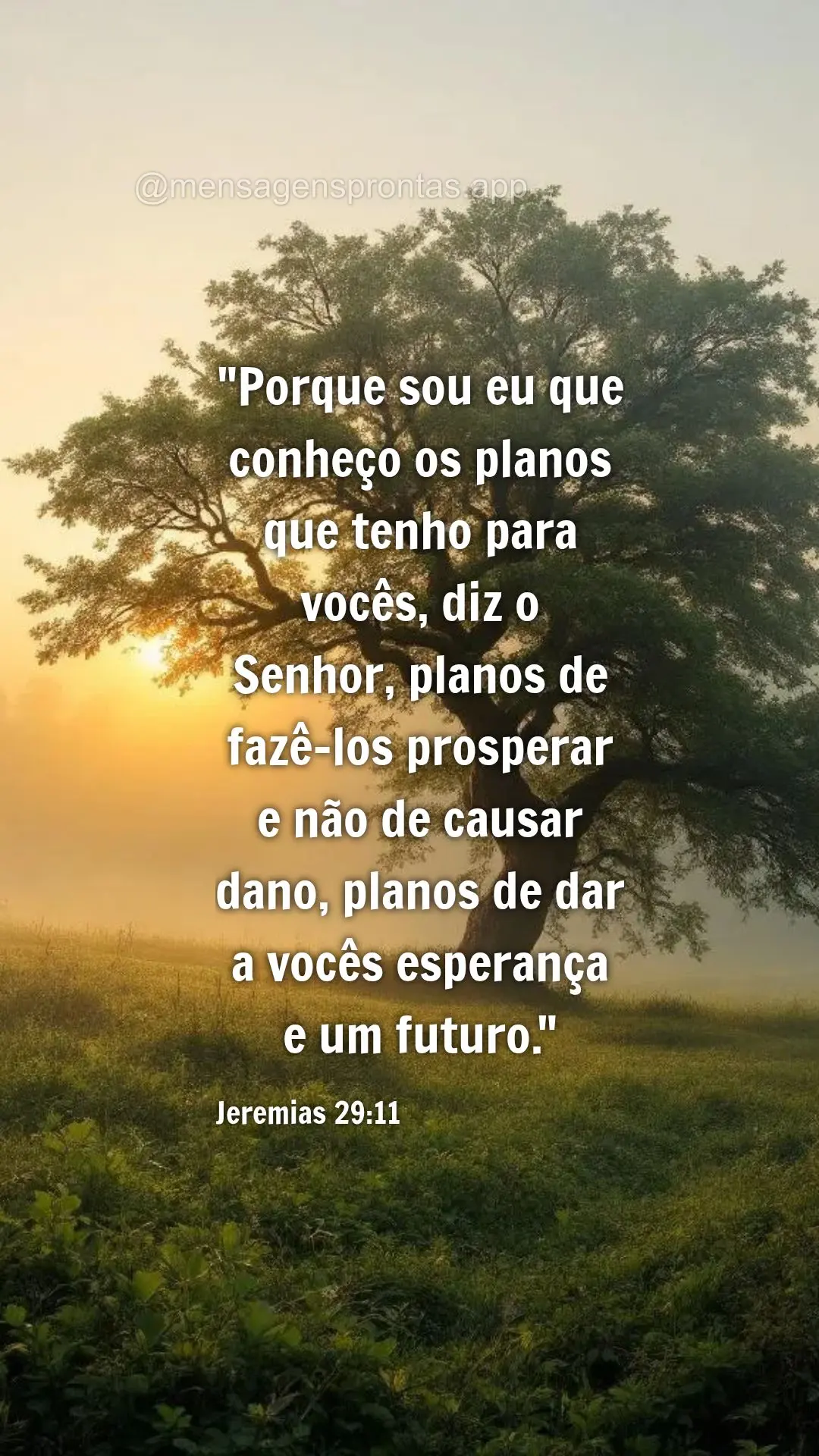 "Porque sou eu que conheço os planos que tenho para vocês, diz o Senhor, planos de fazê-los prosperar e não de causar dano, planos de dar a vocês es...
