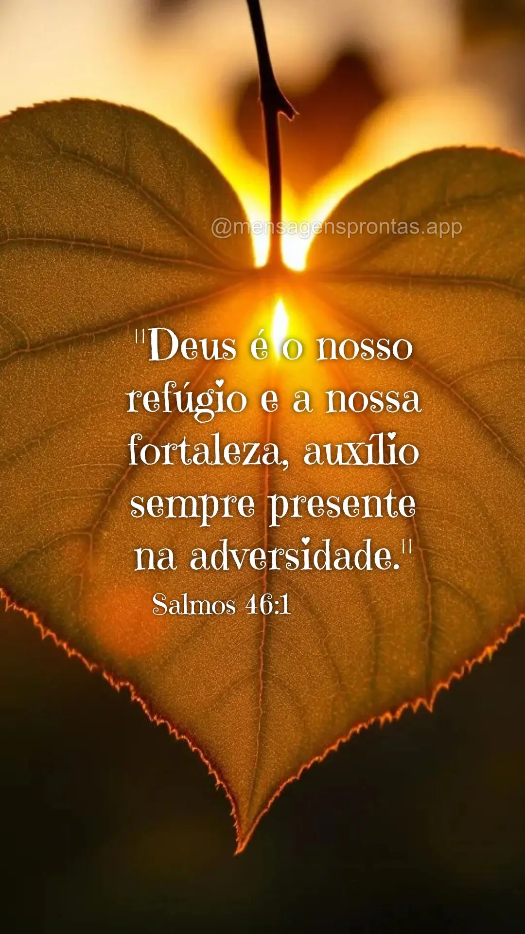 "Deus é o nosso refúgio e a nossa fortaleza, auxílio sempre presente na adversidade." Salmos 46:1