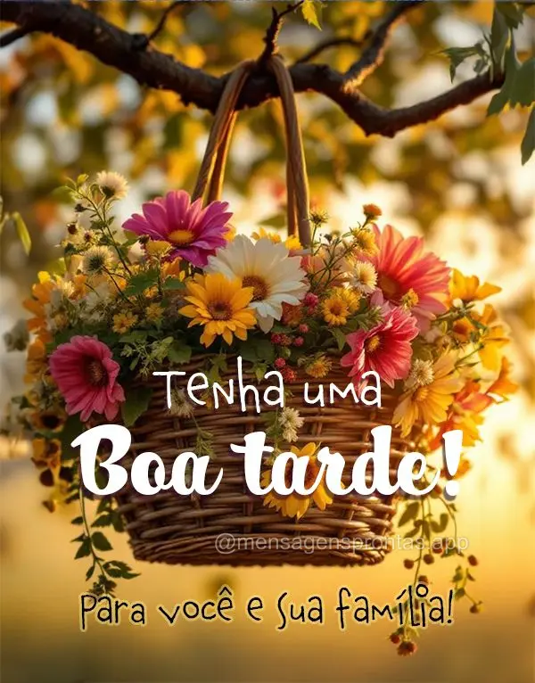 Tenha uma Boa tarde! Para você e sua família!