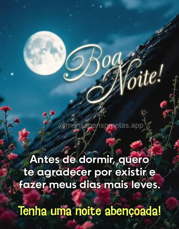 Antes de dormir, quero te agradecer por existir e fazer meus dias mais leves. Tenha uma noite abençoada. Boa noite!
