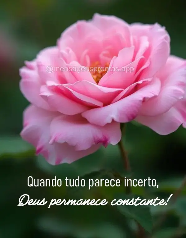 Quando tudo parece incerto, Deus permanece constante.