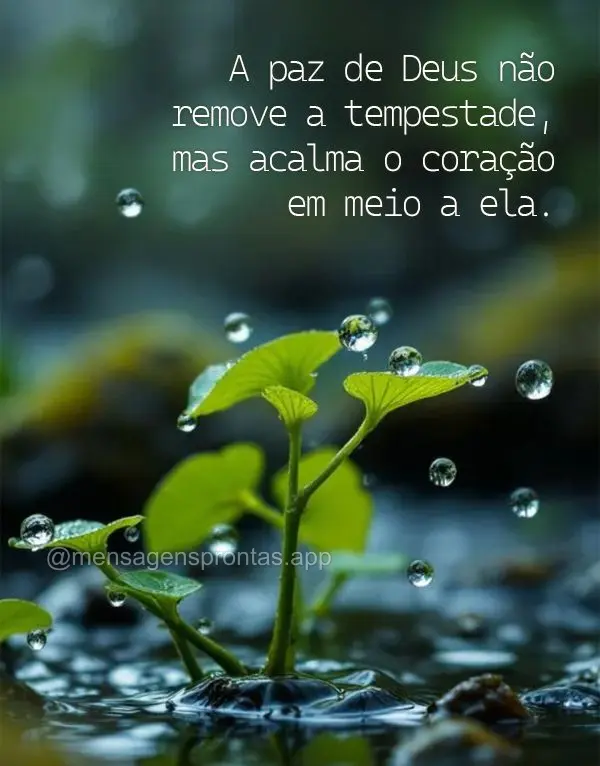 A paz de Deus não remove a tempestade, mas acalma o coração em meio a ela.