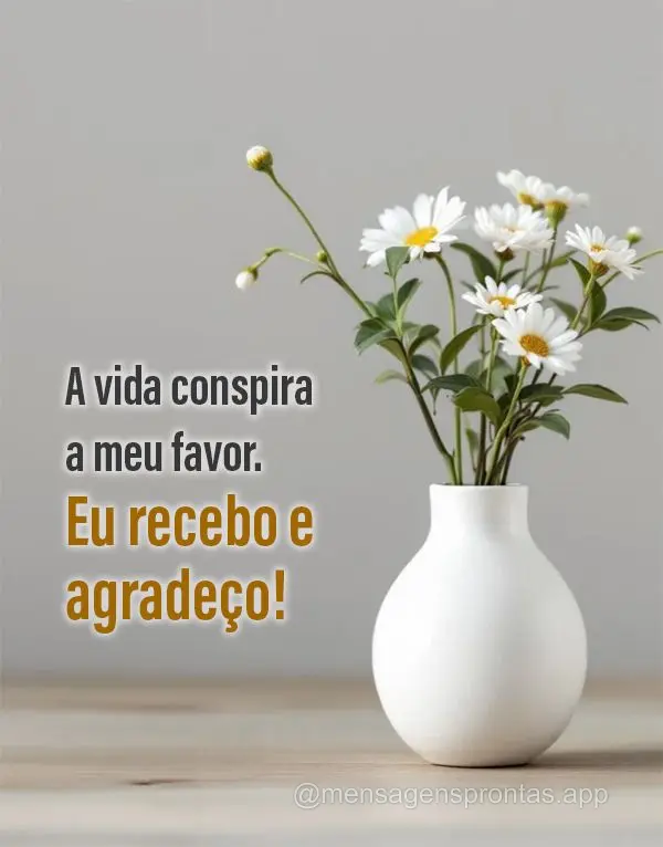 A vida conspira a meu favor. Eu recebo e agradeço!