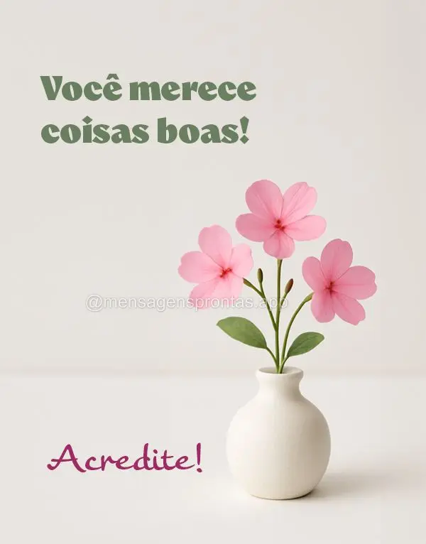 Você merece coisas boas! Acredite!