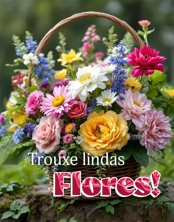 Trouxe lindas Flores!