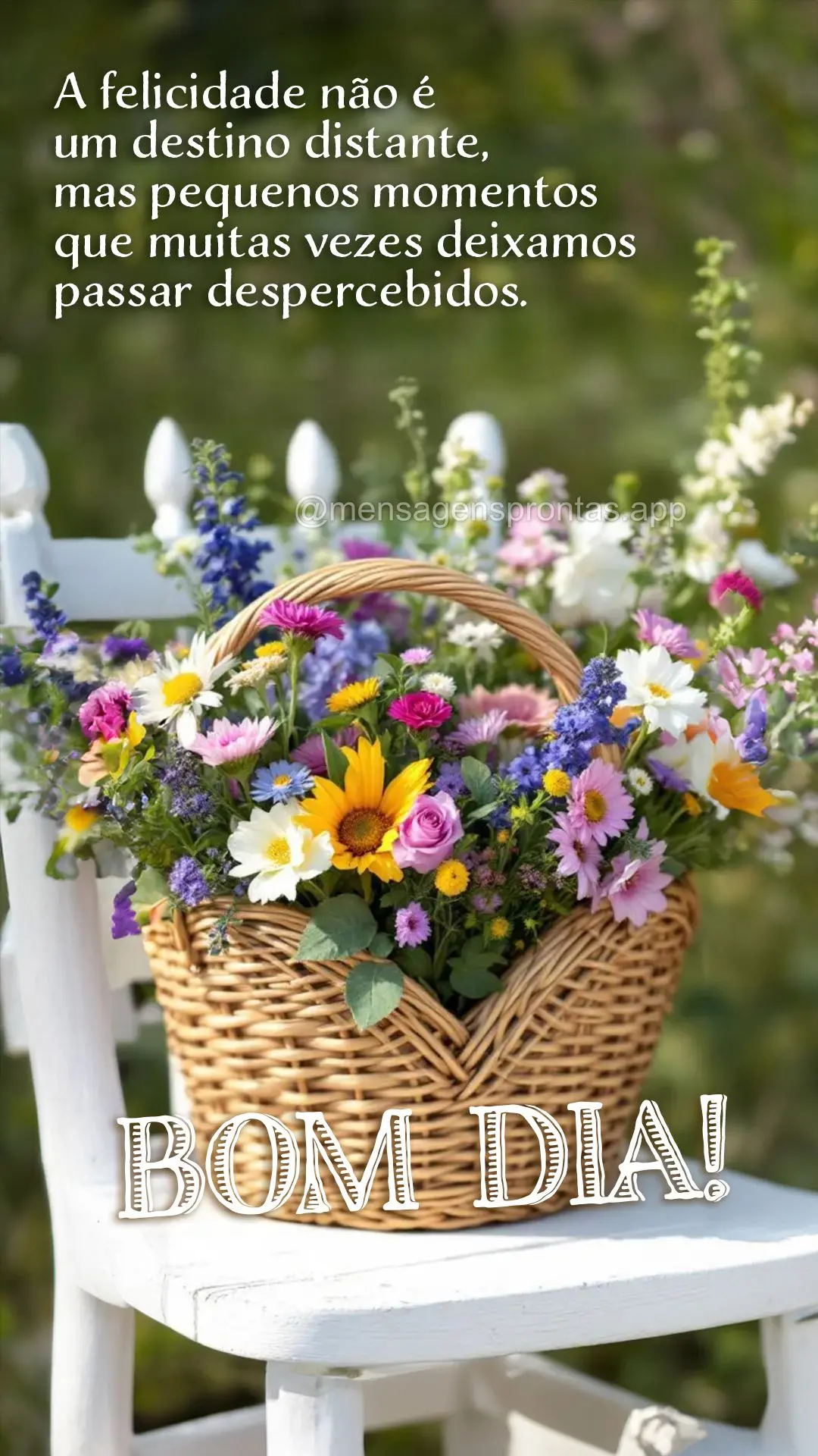 A felicidade não é um destino distante, mas pequenos momentos que muitas vezes deixamos passar despercebidos. Bom dia!