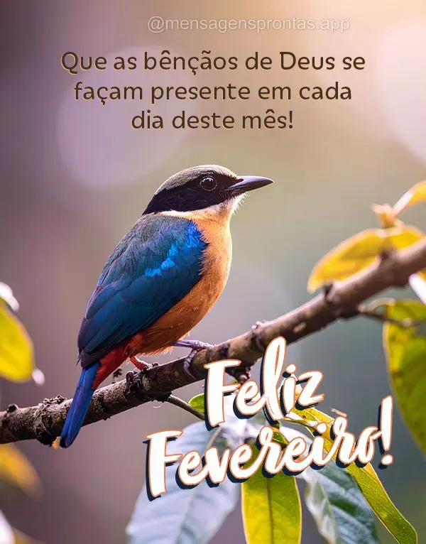 Que as bênçãos de Deus se façam presente em cada dia deste mês! Feliz Fevereiro!