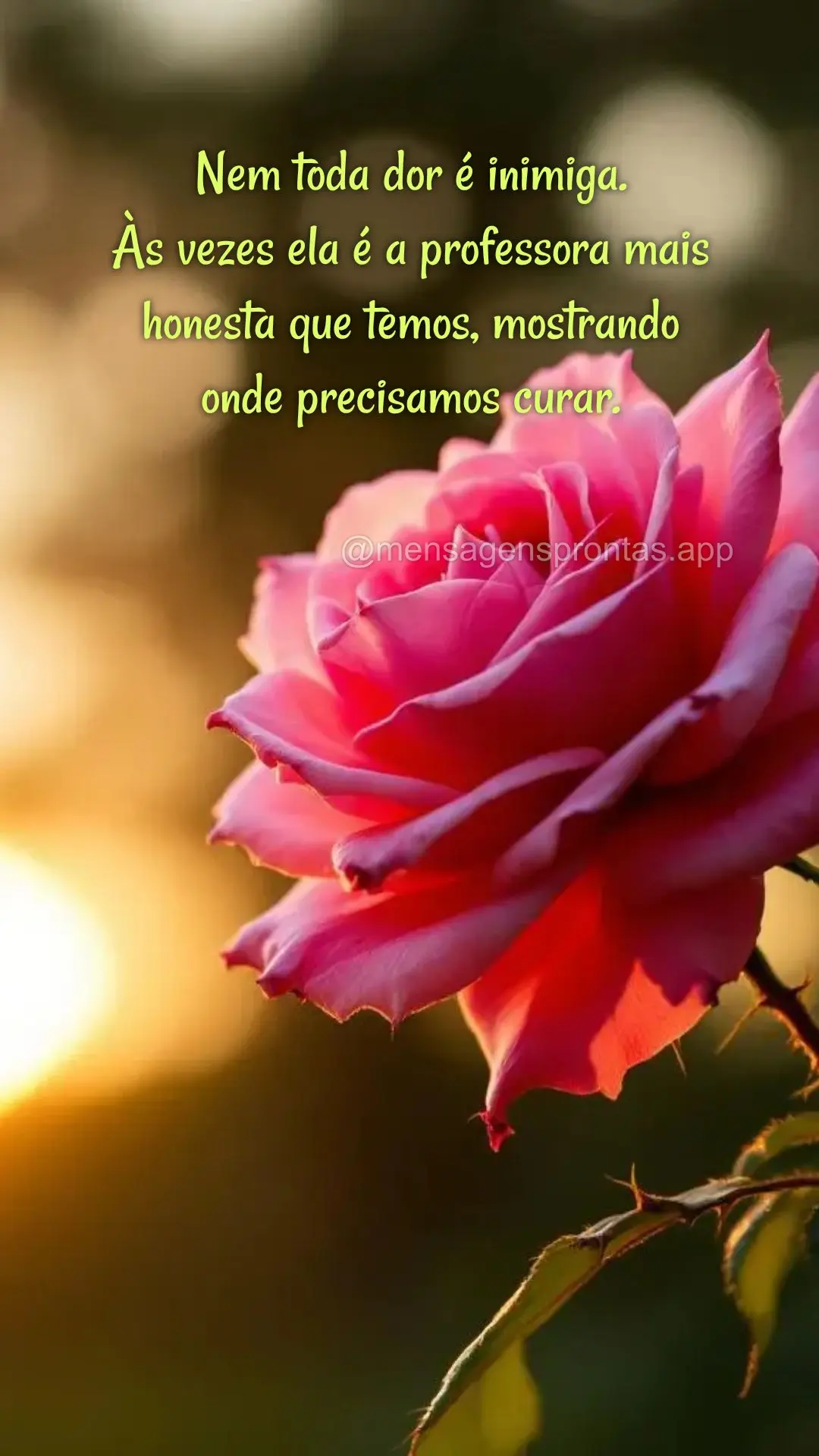 Nem toda dor é inimiga. 
Às vezes ela é a professora mais 
honesta que temos, mostrando 
onde precisamos curar.