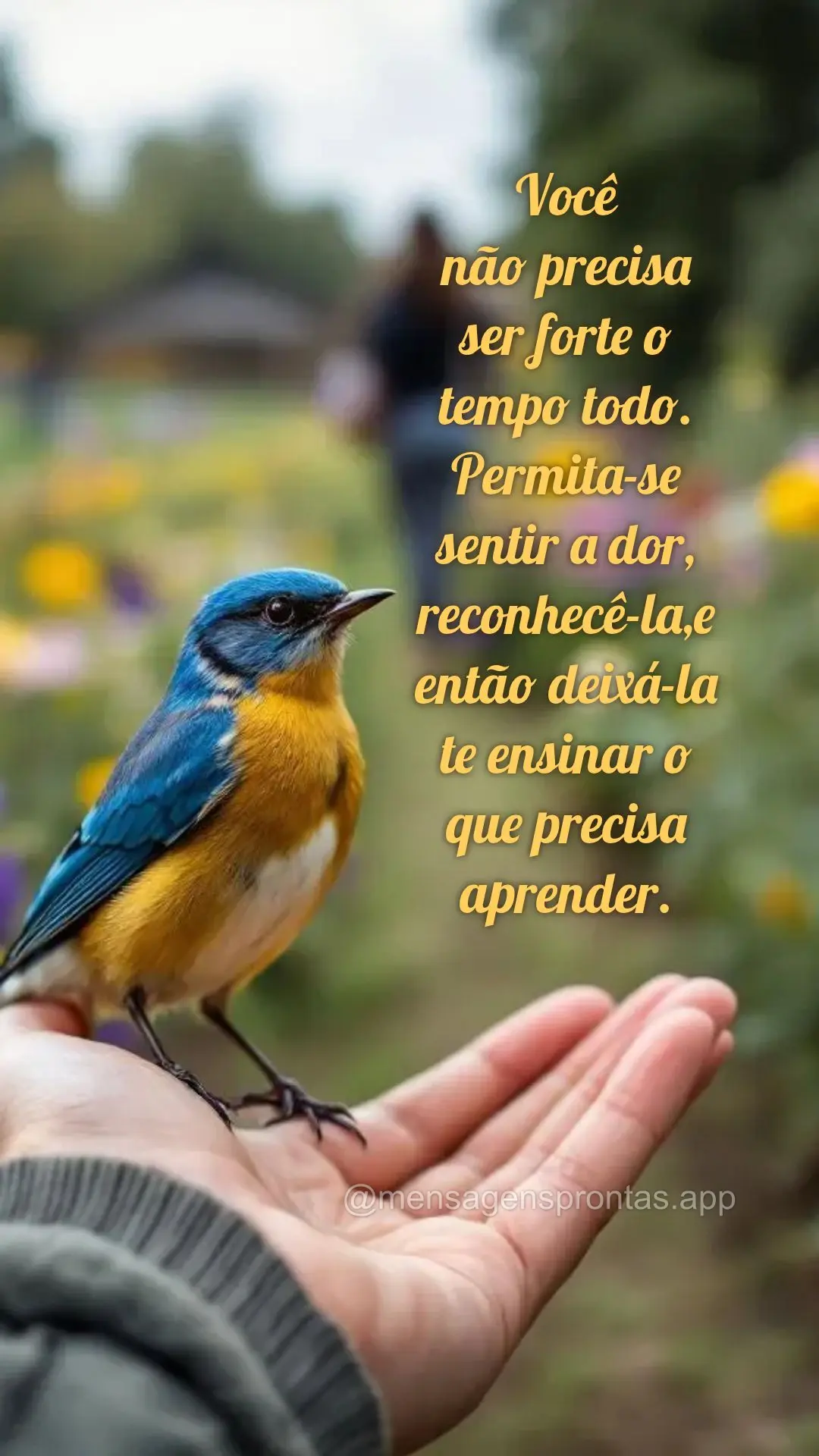 Você 
não precisa 
ser forte o 
tempo todo. 
Permita-se sentir a dor, reconhecê-la,e então deixá-la te ensinar o 
que precisa aprender.