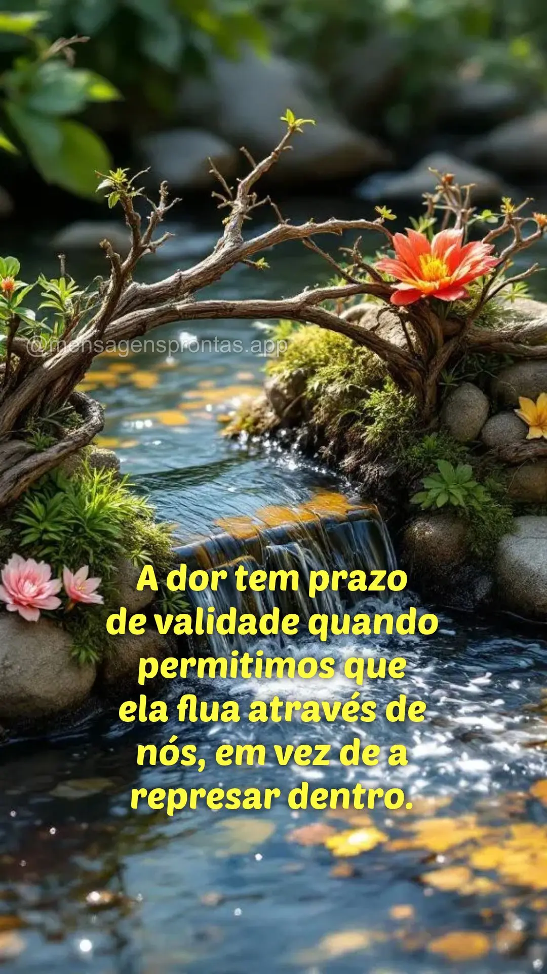 A dor tem prazo 
de validade quando permitimos que 
ela flua através de 
nós, em vez de a 
represar dentro.