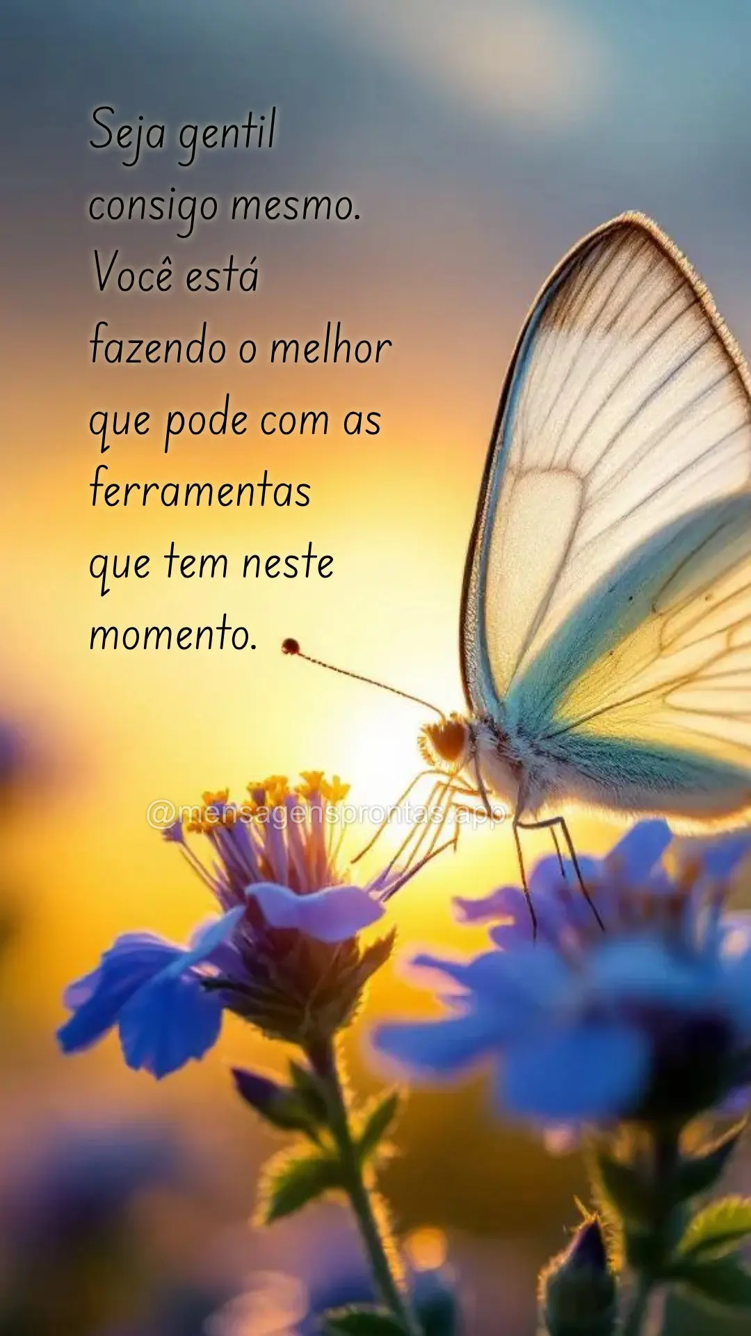 Seja gentil consigo mesmo. Você está fazendo o melhor que pode com as ferramentas 
que tem neste momento.