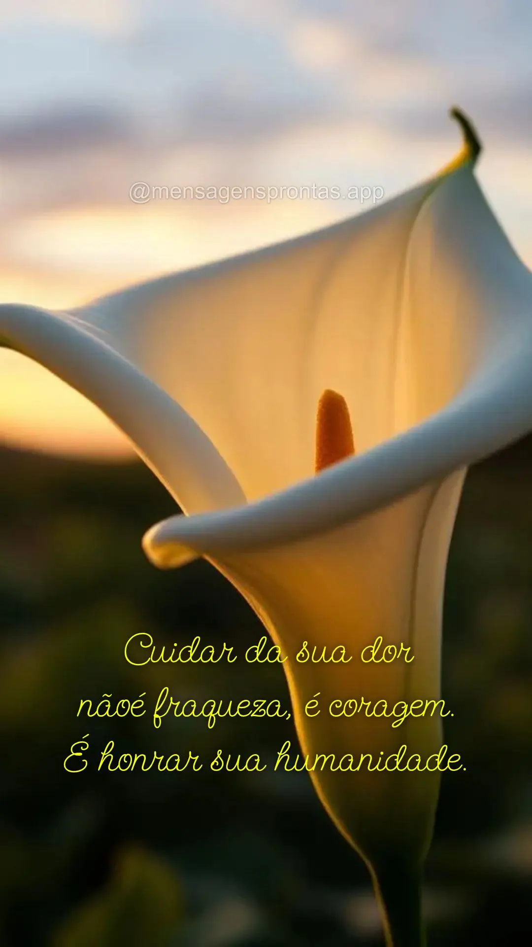 Cuidar da sua dor 
nãoé fraqueza, é coragem. 
É honrar sua humanidade.
