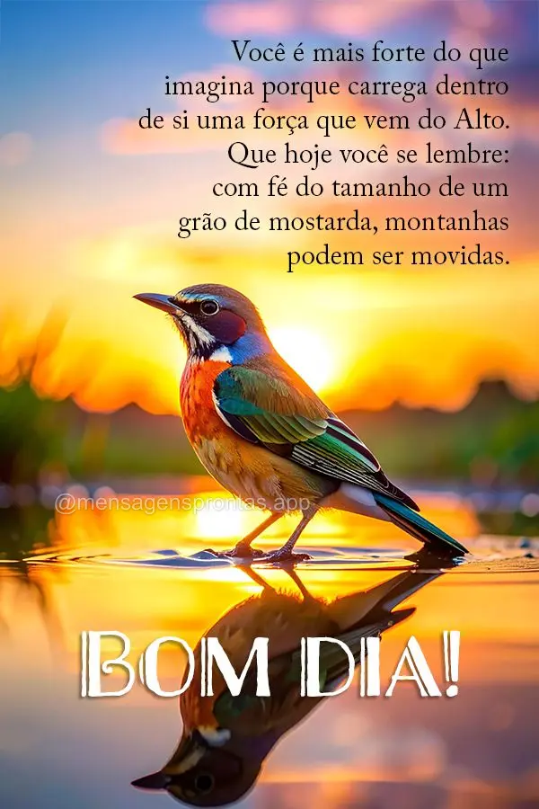 Você é mais forte do que imagina porque carrega dentro de si uma força que vem do Alto. Que hoje você se lembre: com fé do tamanho de um grão de mo...