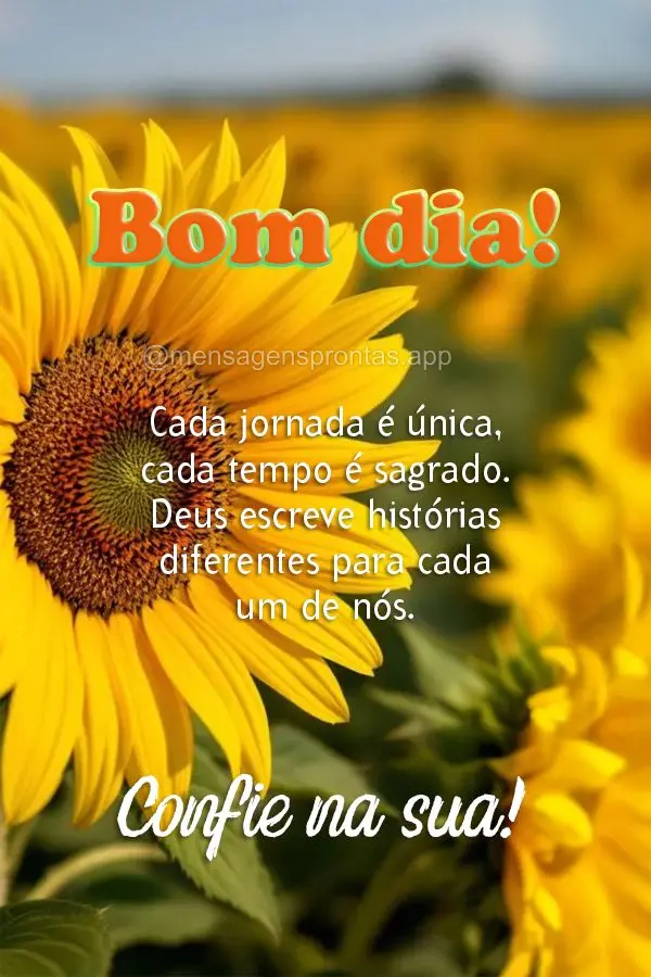 Cada jornada é única, cada tempo é sagrado. Deus escreve histórias diferentes para cada um de nós. Confie na sua! Bom dia!