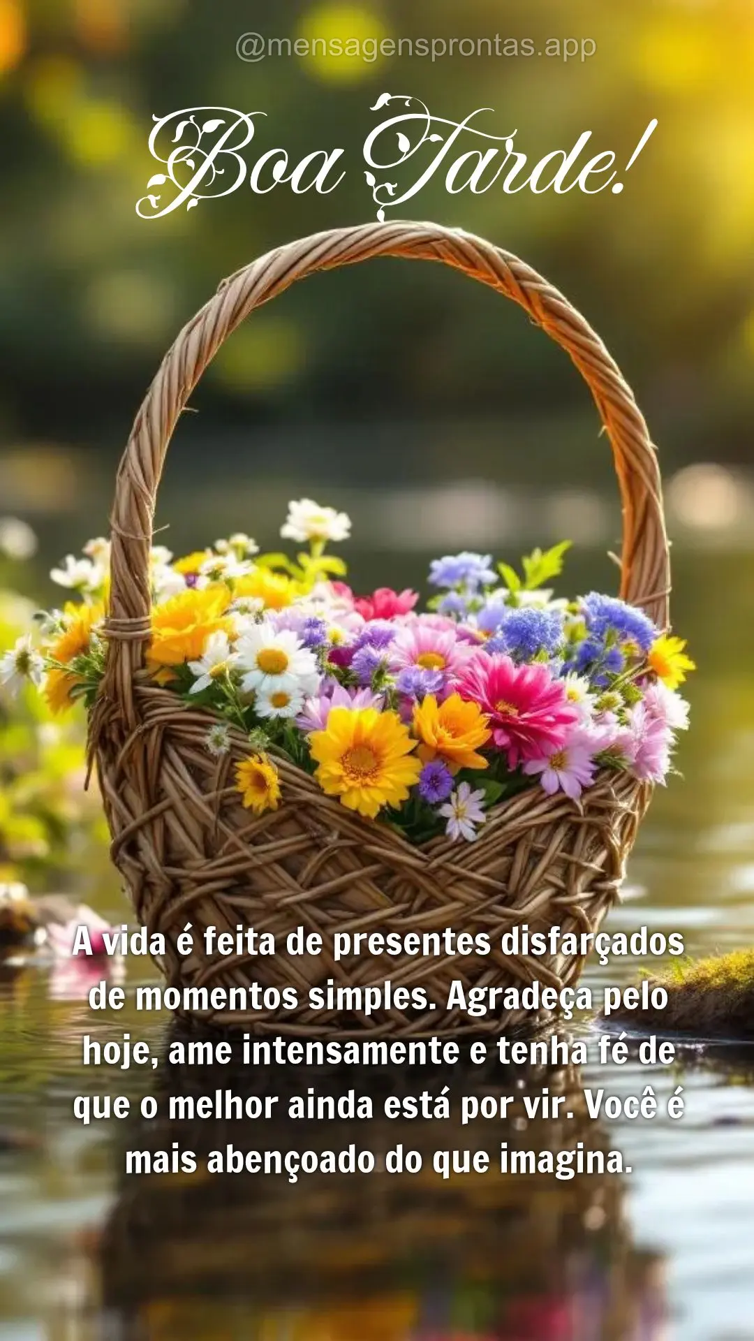 A vida é feita de presentes disfarçados de momentos simples. Agradeça pelo hoje, ame intensamente e tenha fé de que o melhor ainda está por vir. Voc...