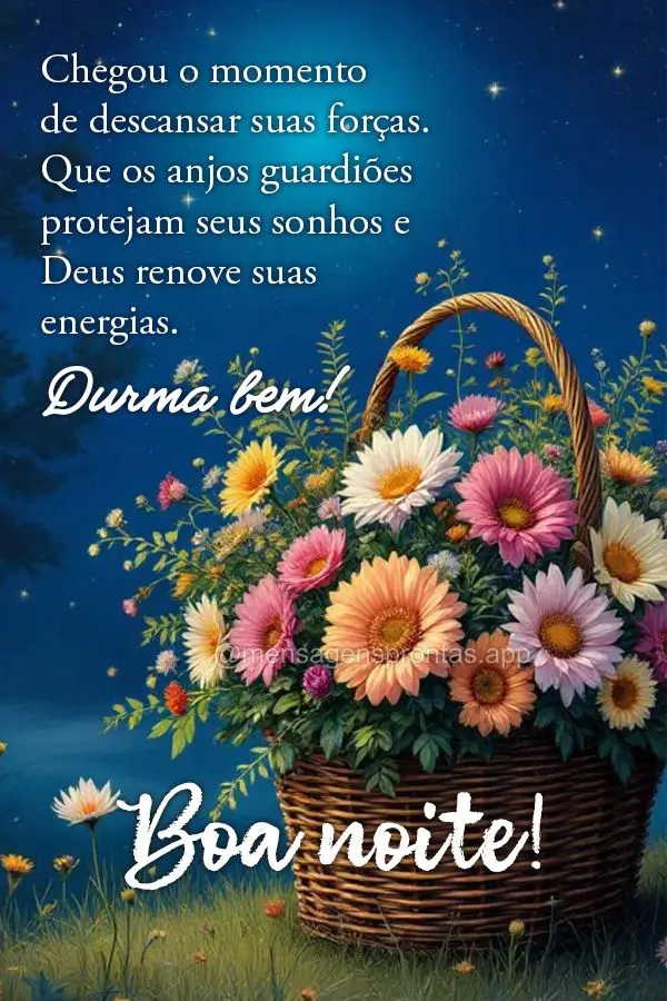 Chegou o momento de descansar suas forças. Que os anjos guardiões protejam seus sonhos e Deus renove suas energias. Você merece esta paz. Durma bem! B...